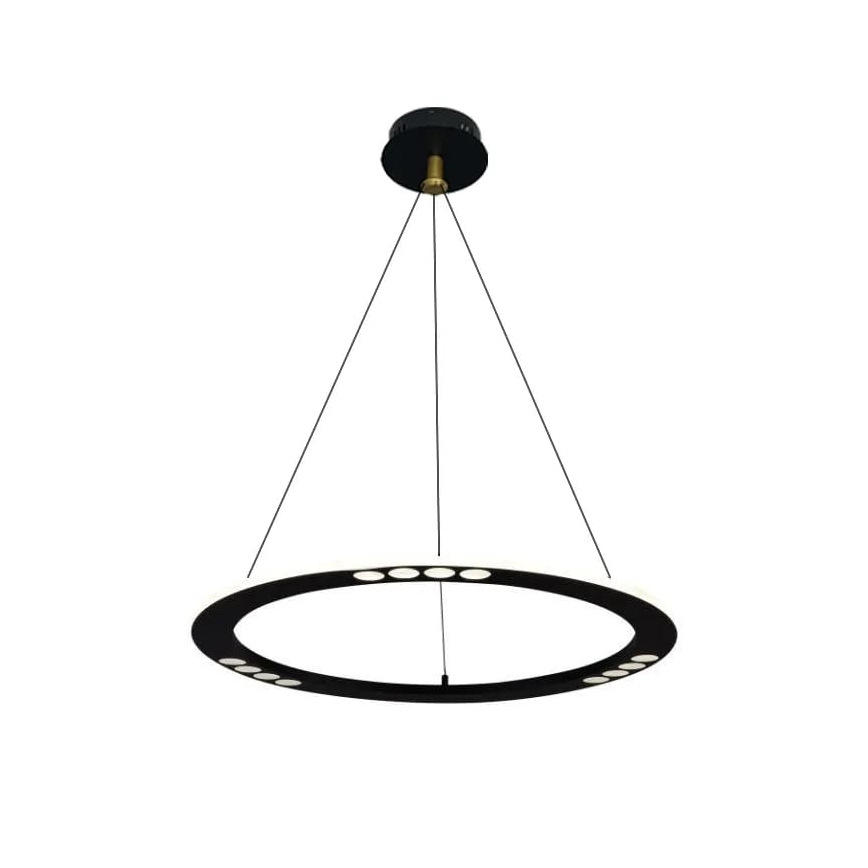 Светодиодная подвесная люстра с регулированием яркости LED/40W/230V 3000-6500K + дистанционное управление