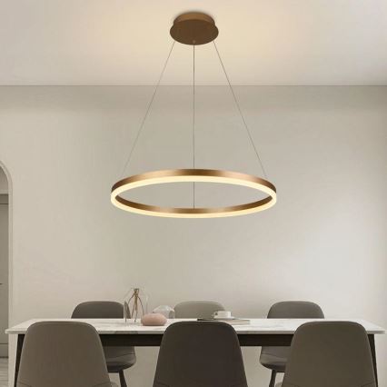 Светодиодная подвесная люстра с регулированием яркости LED/42W/230V 3000-6500K диаметр 60 см + дистанционное управление