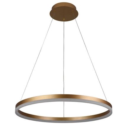 Светодиодная подвесная люстра с регулированием яркости LED/42W/230V 3000-6500K диаметр 60 см + дистанционное управление