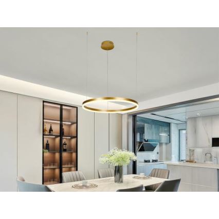 Светодиодная подвесная люстра с регулированием яркости LED/42W/230V 3000-6500K + дистанционное управление