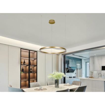 Светодиодная подвесная люстра с регулированием яркости LED/42W/230V 3000-6500K + дистанционное управление