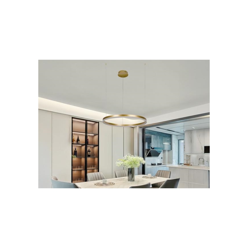 Светодиодная подвесная люстра с регулированием яркости LED/42W/230V 3000-6500K + дистанционное управление