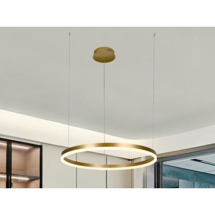 Светодиодная подвесная люстра с регулированием яркости LED/42W/230V 3000-6500K + дистанционное управление