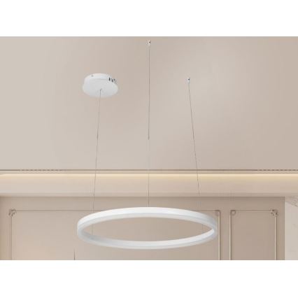 Светодиодная подвесная люстра с регулированием яркости LED/42W/230V 3000-6500K + дистанционное управление
