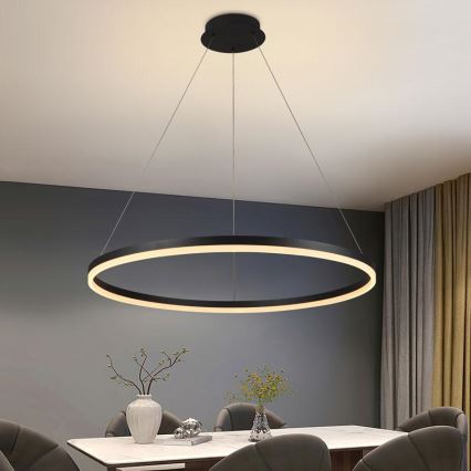 Светодиодная подвесная люстра с регулированием яркости LED/55W/230V 3000-6500K + дистанционное управление