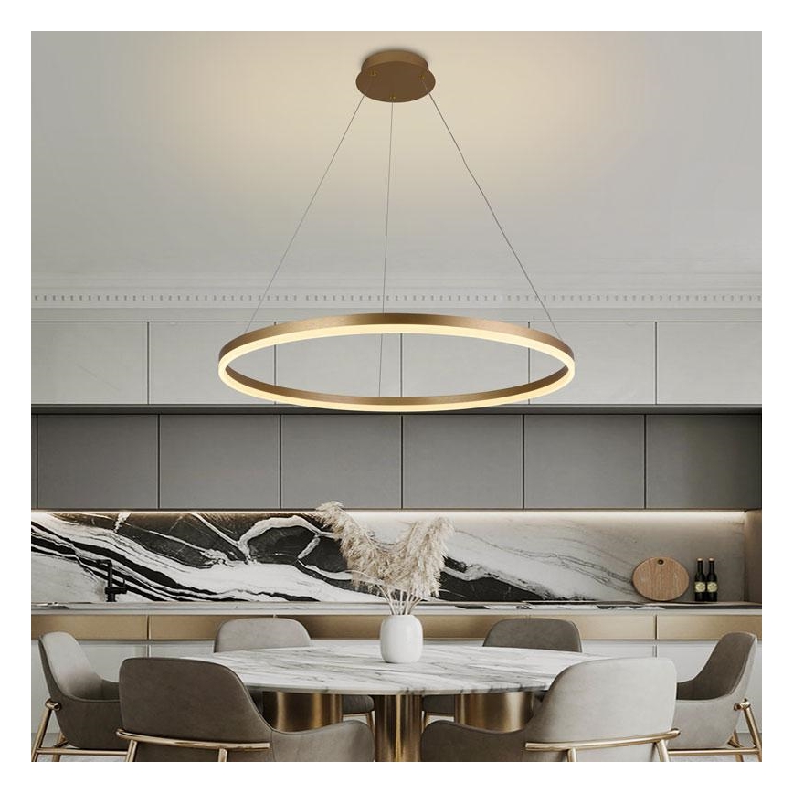Светодиодная подвесная люстра с регулированием яркости LED/55W/230V 3000-6500K + дистанционное управление