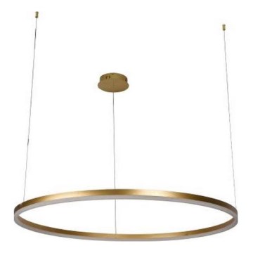 Светодиодная подвесная люстра с регулированием яркости LED/55W/230V 3000-6500K + дистанционное управление