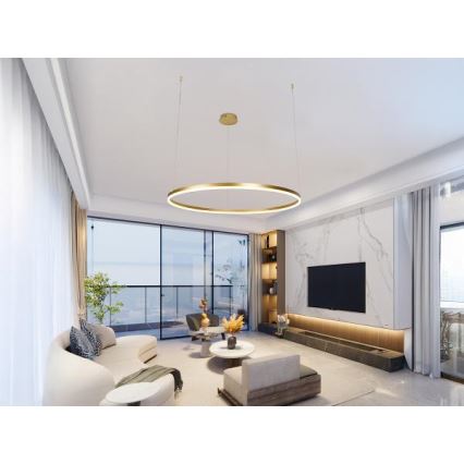 Светодиодная подвесная люстра с регулированием яркости LED/55W/230V 3000-6500K + дистанционное управление
