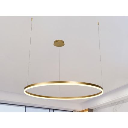 Светодиодная подвесная люстра с регулированием яркости LED/55W/230V 3000-6500K + дистанционное управление