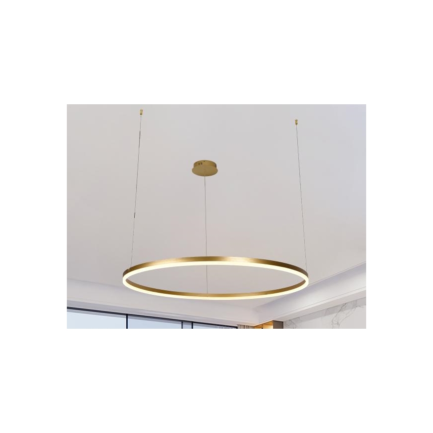 Светодиодная подвесная люстра с регулированием яркости LED/55W/230V 3000-6500K + дистанционное управление
