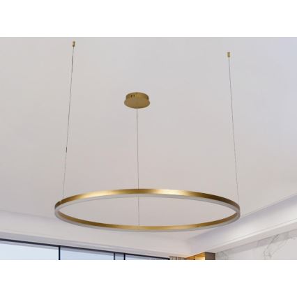 Светодиодная подвесная люстра с регулированием яркости LED/55W/230V 3000-6500K + дистанционное управление