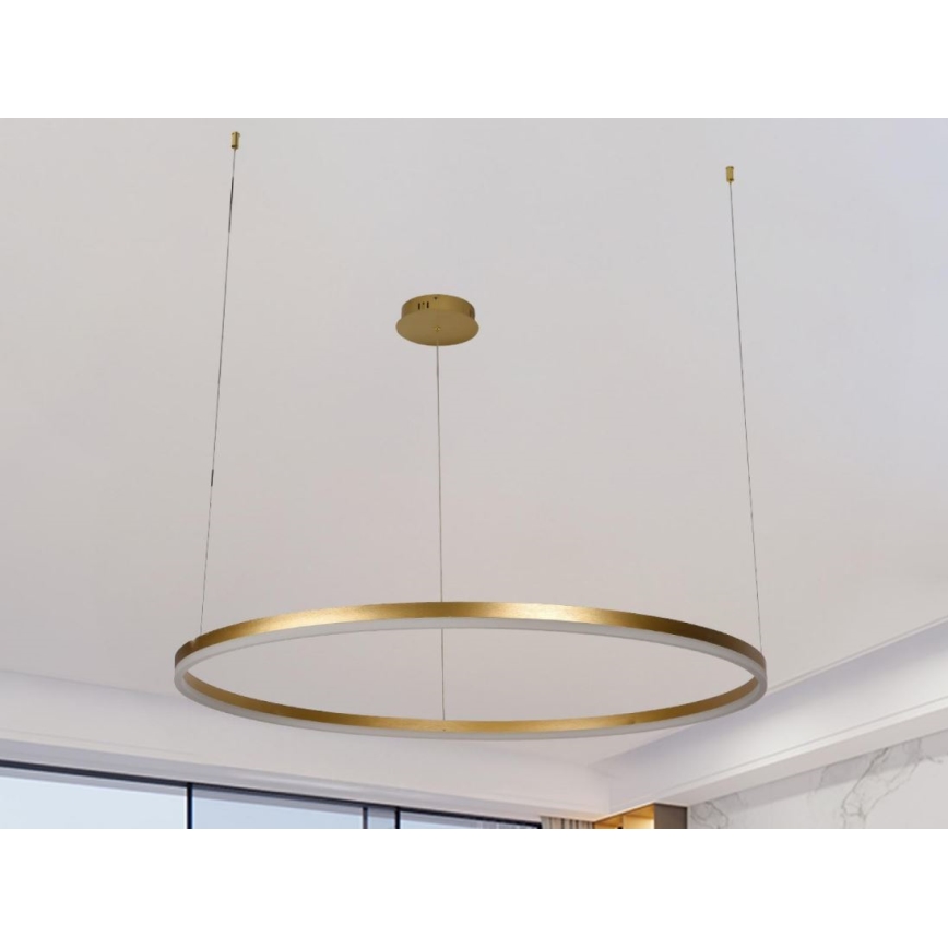 Светодиодная подвесная люстра с регулированием яркости LED/55W/230V 3000-6500K + дистанционное управление