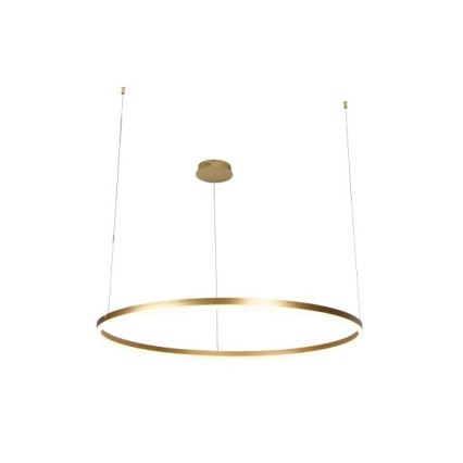 Светодиодная подвесная люстра с регулированием яркости LED/55W/230V 3000-6500K + дистанционное управление