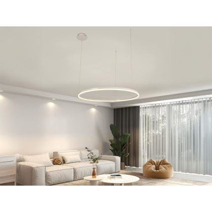 Светодиодная подвесная люстра с регулированием яркости LED/55W/230V 3000-6500K + дистанционное управление
