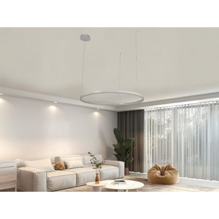 Светодиодная подвесная люстра с регулированием яркости LED/55W/230V 3000-6500K + дистанционное управление