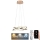 Светодиодная подвесная люстра с регулированием яркости LED/65W/230V 3000-6500K золотистый + дистанционное управление