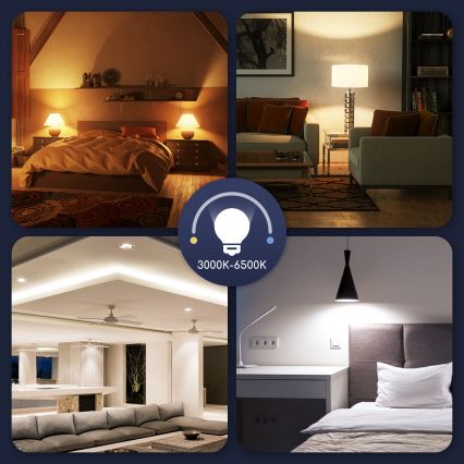 Светодиодная RGBW лампа с диммером G45 E14/5W/230V 3000-6500K Wi-Fi - Aigostar