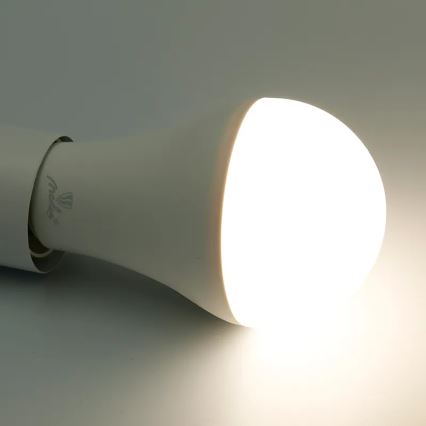 Светодиодная RGBW-лампочка с регулированием яркости A60 E27/15W/230V 2700-6500K Wi-Fi Tuya