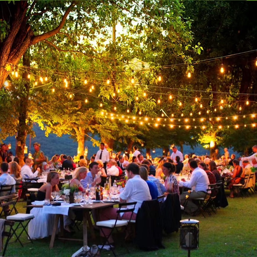 Светодиодная уличная декоративная гирлянда 15xE27/1Вт/230В 15 м IP65 черная