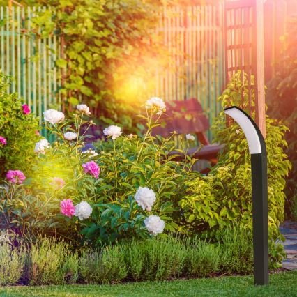 Светодиодная уличная лампа AMY LED/12W/230V 100 см IP44 черный