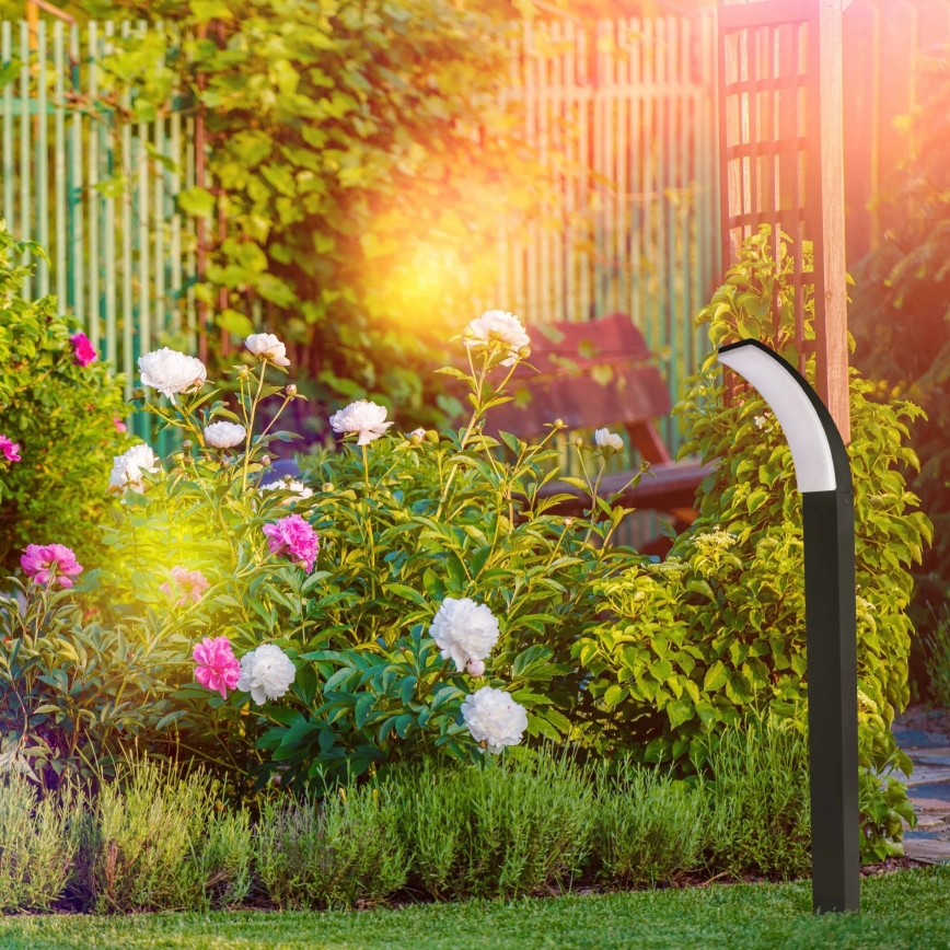 Светодиодная уличная лампа AMY LED/12W/230V 100 см IP44 черный