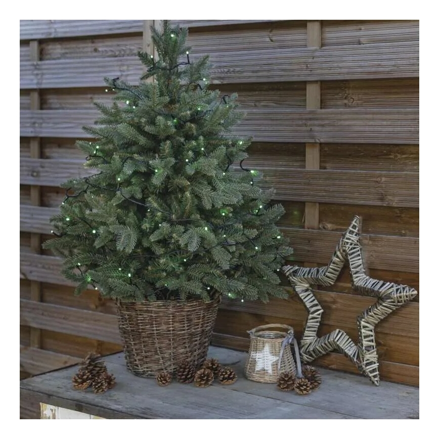 Светодиодная уличная рождественская гирлянда 100xLED/10 м IP44 зеленый