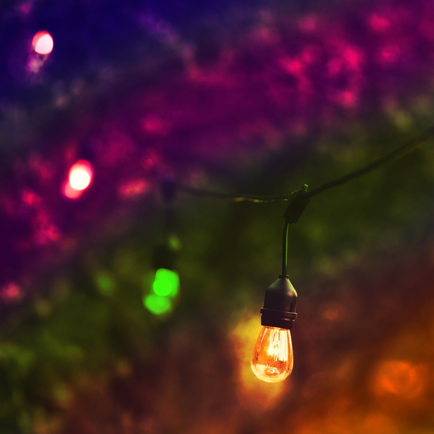 Светодиодная уличная декоративная гирлянда PARTY NEON 7,6 м 10xE27/0,6W/36V IP44
