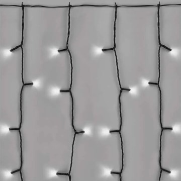 Светодиодная уличная рождественская гирлянда 100xLED/1x2 м IP44 холодный белый