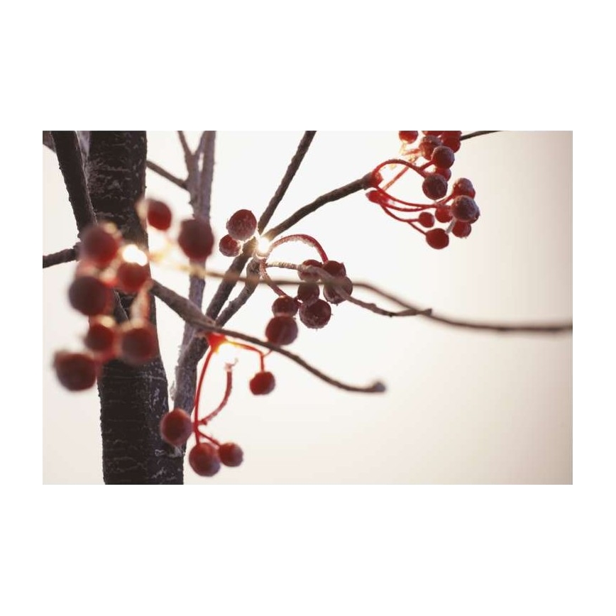 Светодиодное рождественское уличное украшение 48xLED/3,6W/230V IP44