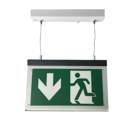 Светодиодный аварийный светильник LED/4W/230V 6000K 1000 mAh