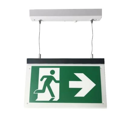 Светодиодный аварийный светильник LED/4W/230V 6000K 1000 mAh