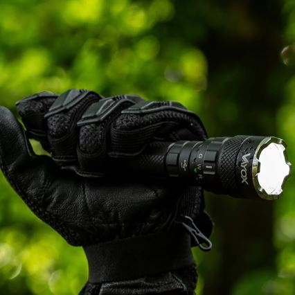 Светодиодный аккумуляторный RGBW-фонарь с регулированием яркости LED/15W/5V IP66 1500 блестящий 2000 mAh