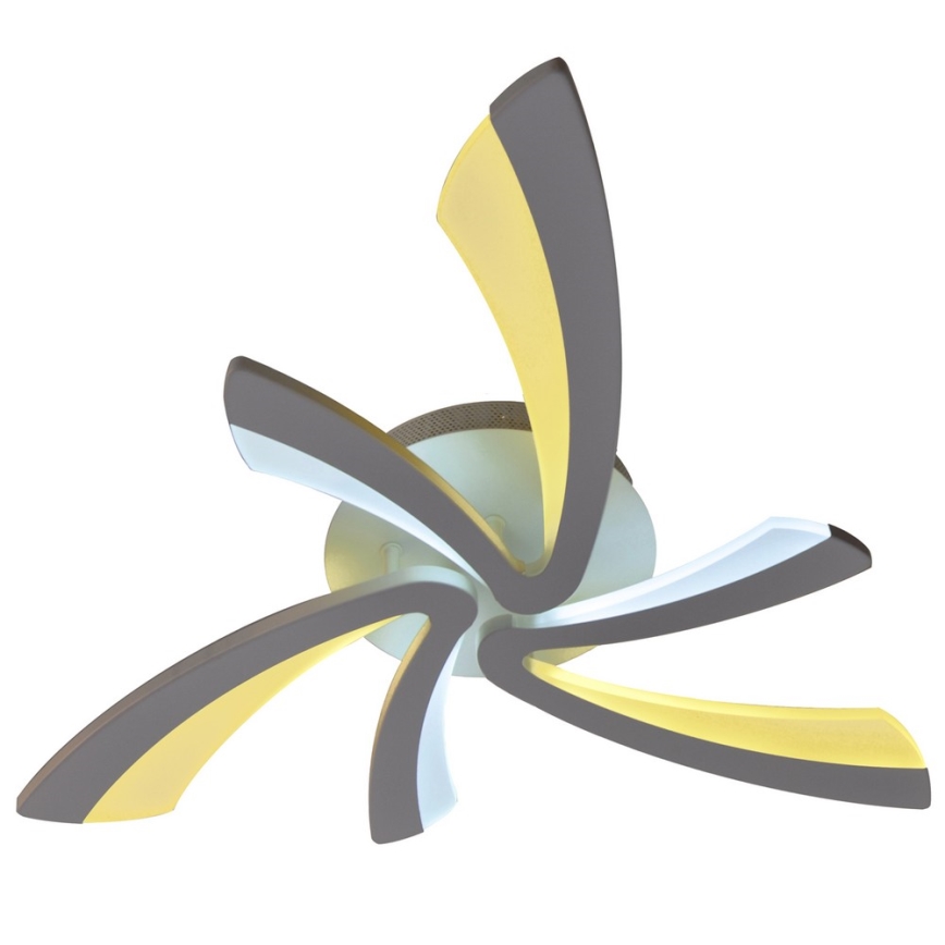 Светодиодный регулируемый потолочный светильник FLORANCE 2xLED/30W/230V с дистанционным управлением