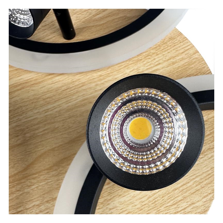 Светодиодный регулируемый потолочный светильник LED/70 Вт/230 В 3000-6500K черный/коричневый + пульт дистанционного управления