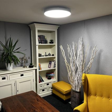 Светодиодный диммируемый потолочный светильник LED/48W/230V 2700-6500K Wi-Fi Tuya + пульт ДУ