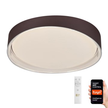 Светодиодный диммируемый потолочный светильник LED/48W/230V 2700-6500K Wi-Fi Tuya + пульт ДУ