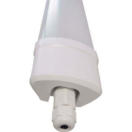 Светодиодный люминесцентный светильник DAISY LED/40W/230V 4000K IP65