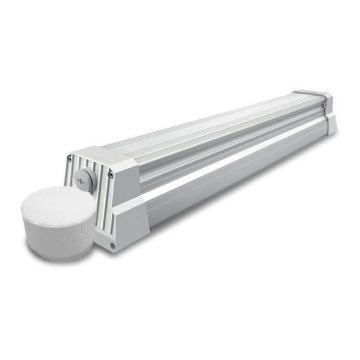 Светодиодный люминесцентный светильник LED/55W/230V IP66