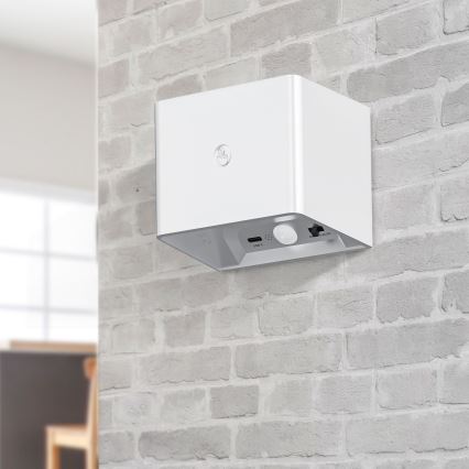 LED С регулированием яркости настенная сенсорный светильник с датчиком MIRI LED/2,5W/3,7V 3000/4000/6400K 4000 mAh белая