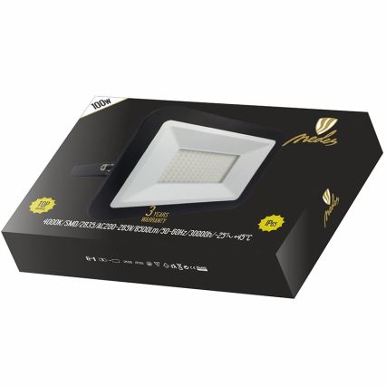 Светодиодный отражатель LED/100W/230V IP65