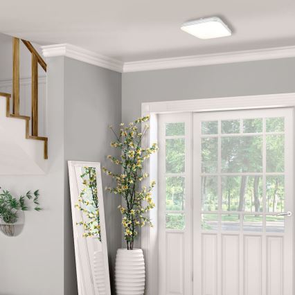 Светодиодный потолочный светильник AJAX LED/27W/230V