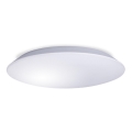 Светодиодный потолочный светильник для ванной AVESTA LED/18W/230V 4000K IP54