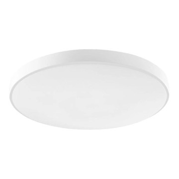Светодиодный потолочный светильник для ванной PENELOPE LED/12W/230V 6000K IP44 диаметр 22 см белый