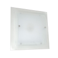 Светодиодный потолочный светильник FALLS LED/17W/230V