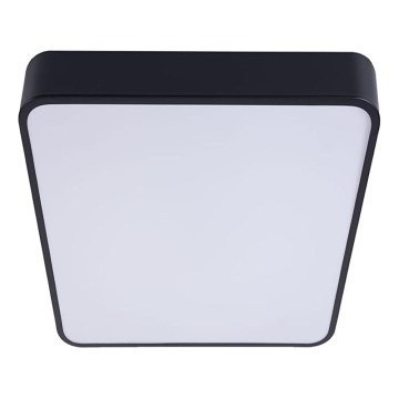 Светодиодный потолочный светильник FELIZ LED/50W/230V 4000K 40x60 см черный