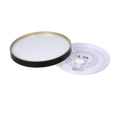 Светодиодный потолочный светильник FLORIDA LED/18W/230V черный