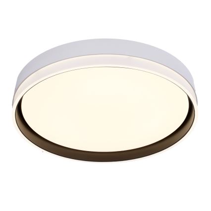 Светодиодный потолочный светильник FLORIDA LED/24W/230V белый