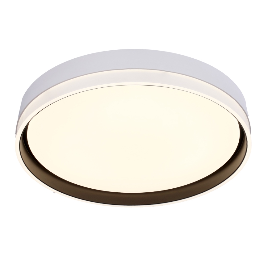 Светодиодный потолочный светильник FLORIDA LED/24W/230V белый