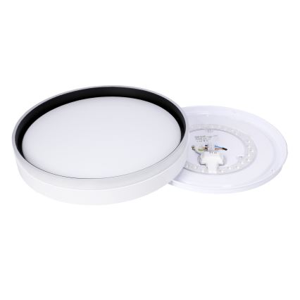 Светодиодный потолочный светильник FLORIDA LED/24W/230V белый