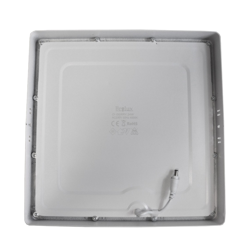 Светодиодный потолочный светильник GERRY LED/24W/230V 4,000K